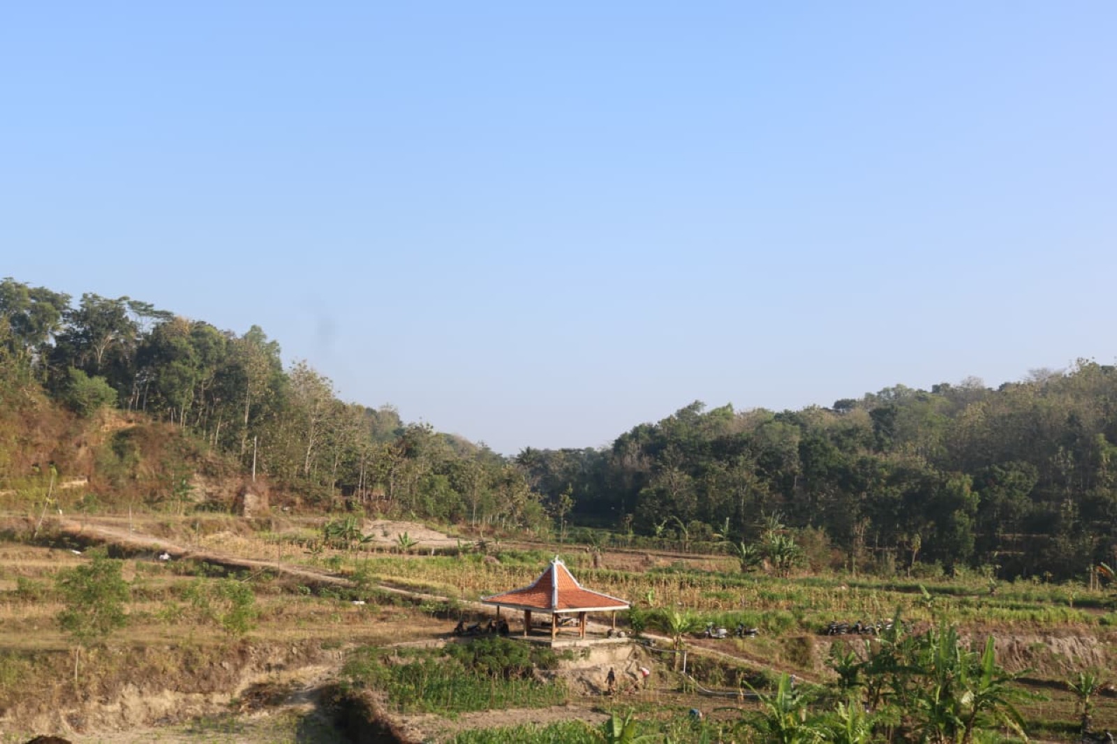 Foto galeri