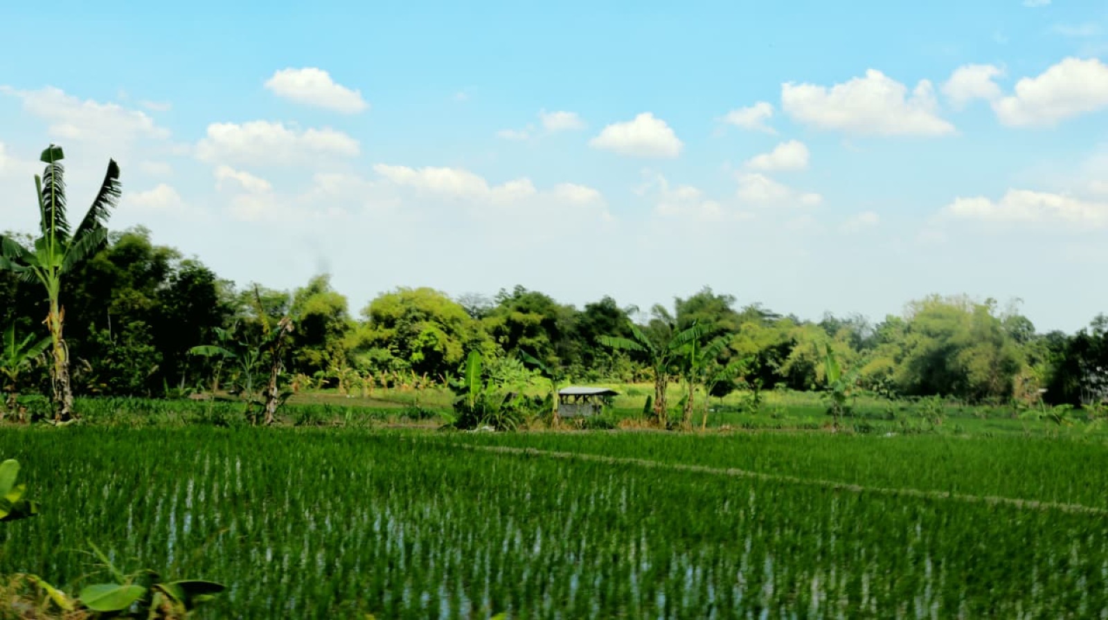 Foto galeri