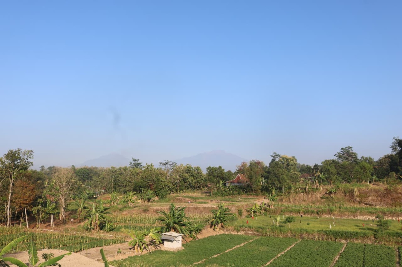 Foto galeri
